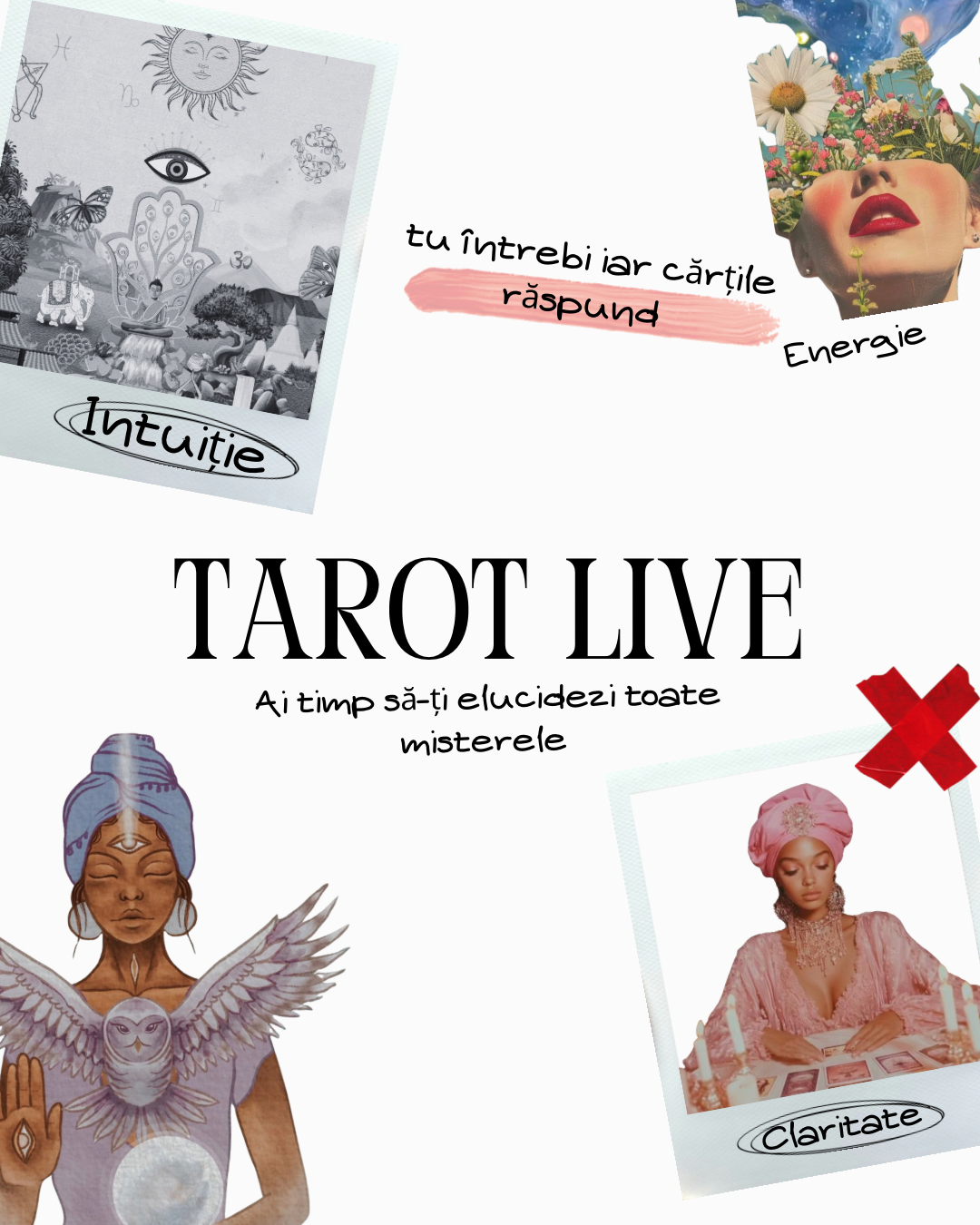 💎 Live Standard - 33 de minute